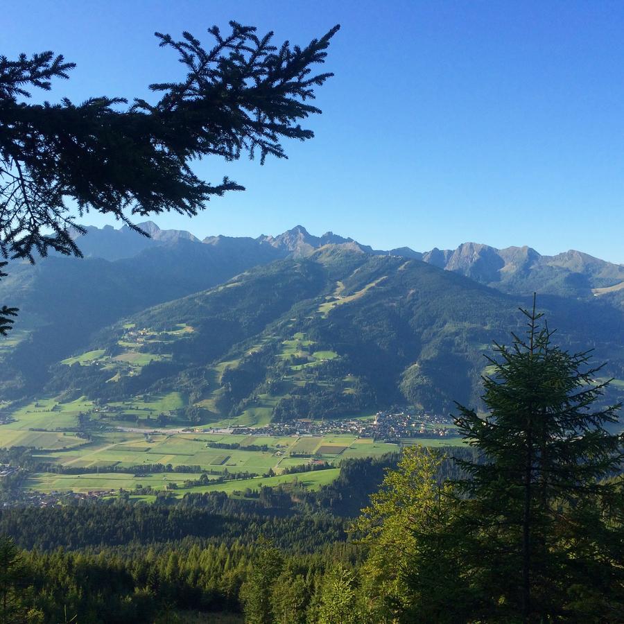 Berggasthof Scharfetter Haus im Ennstal Bagian luar foto