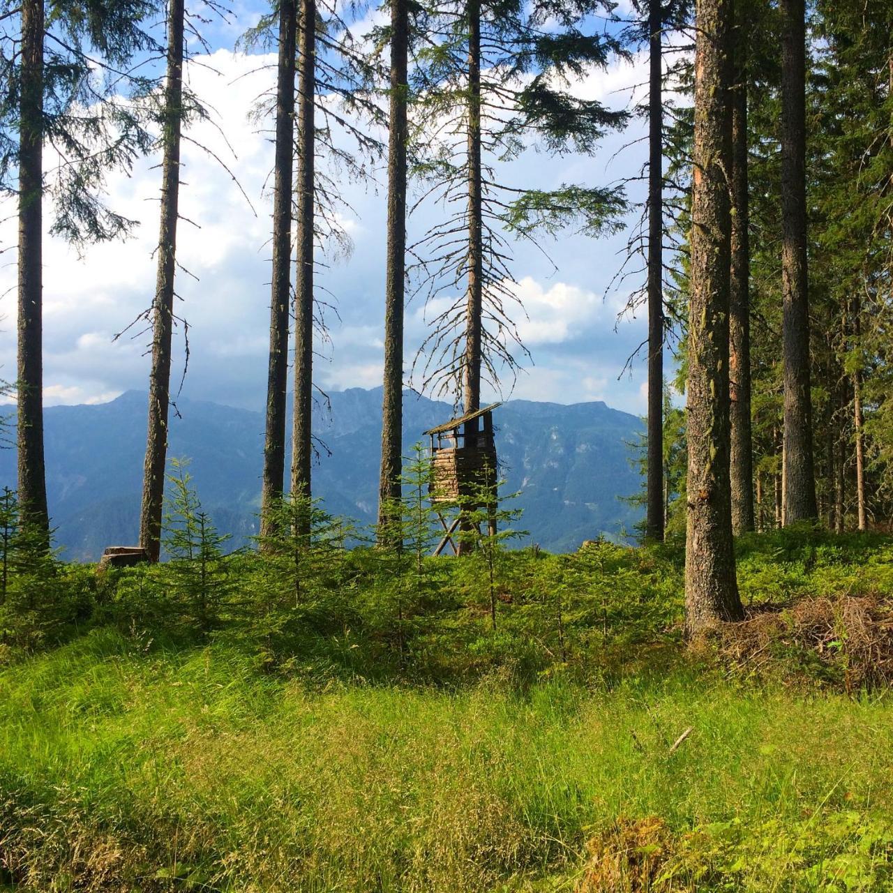 Berggasthof Scharfetter Haus im Ennstal Bagian luar foto